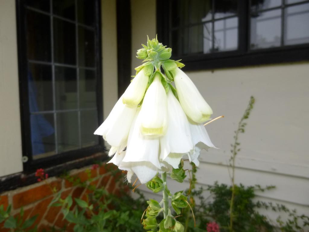 Church Hall Farm Bed And Breakfast Broxted Pokoj fotografie