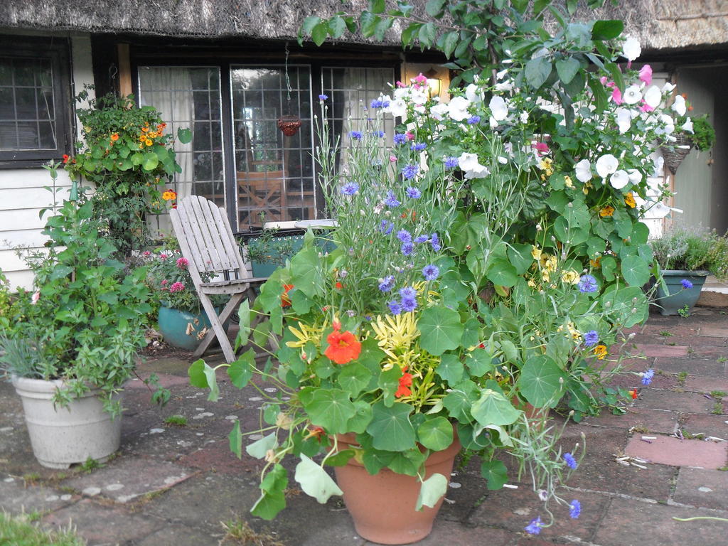 Church Hall Farm Bed And Breakfast Broxted Exteriér fotografie
